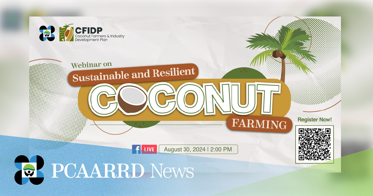 Webinar tackles sustainable and resilient coconut farming  for 2024 National Coconut Week